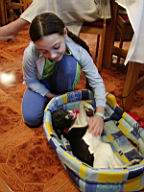 Resize of Rotation of P4080129.JPG